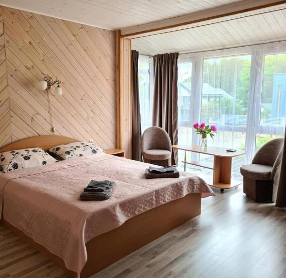 پانسیون Drugys 2