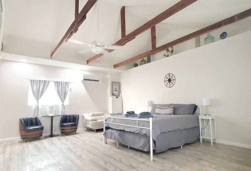 بنسيون King Size Sassy Studio