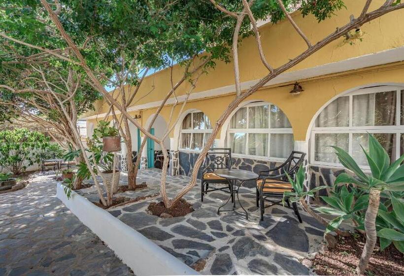 بنسيون La Finquita   Adeje