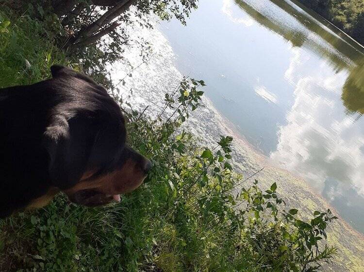 ペンション Room In Guest Room Heavenly Sejour Forest For 2 People