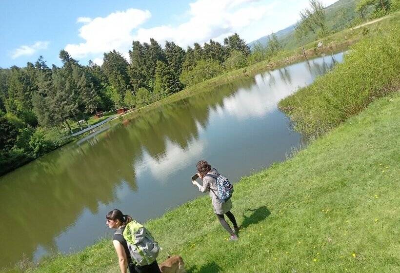 پانسیون Room In Guest Room   Heavenly Sejour Forest For 2 People