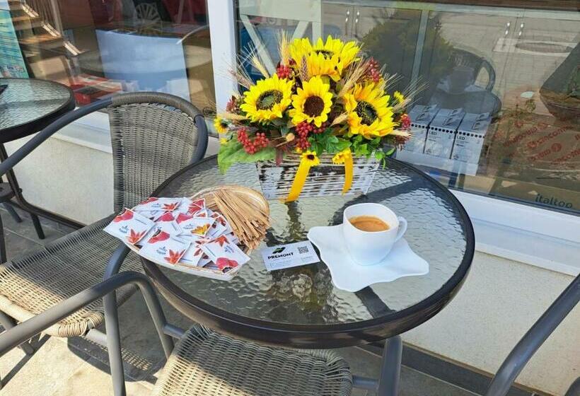 Premont Studios Ghimbav