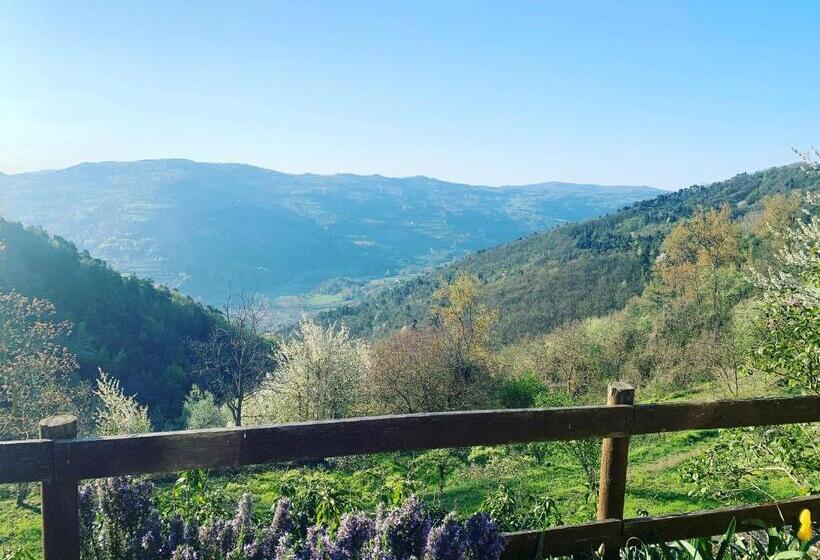 Bed and Breakfast Agriturismo La Collina Degli Scoiattoli