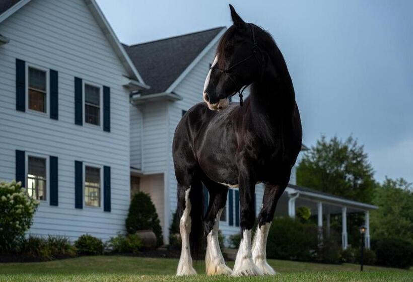 مبيت وإفطار Apple Pony Inn