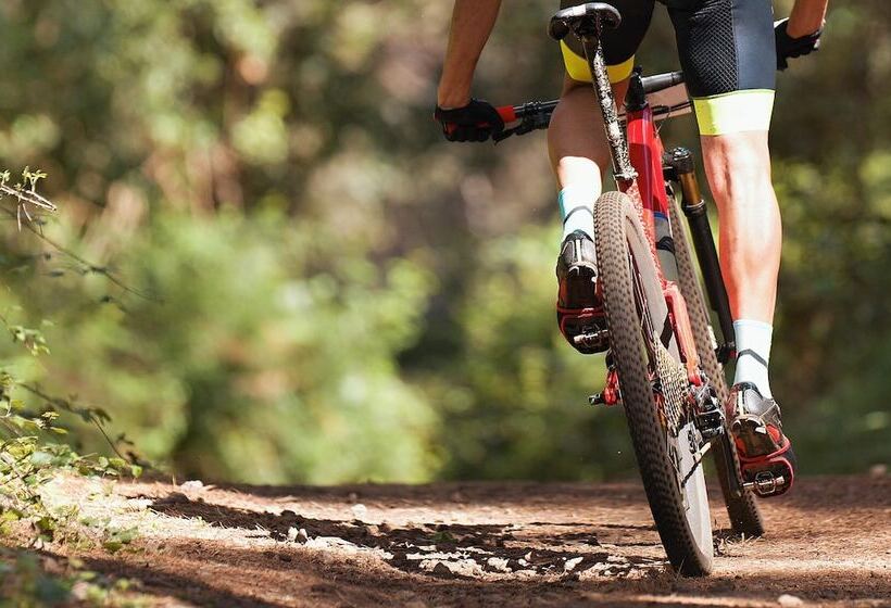 ベッドアンドブレックファースト Le Acacie