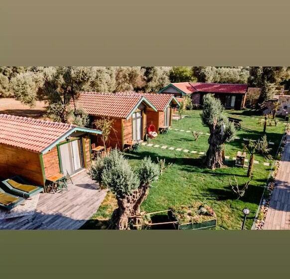 Bed and Breakfast Serender Bungalov