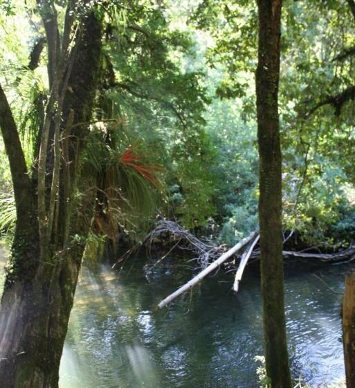 Cabaña Aroma De Campo