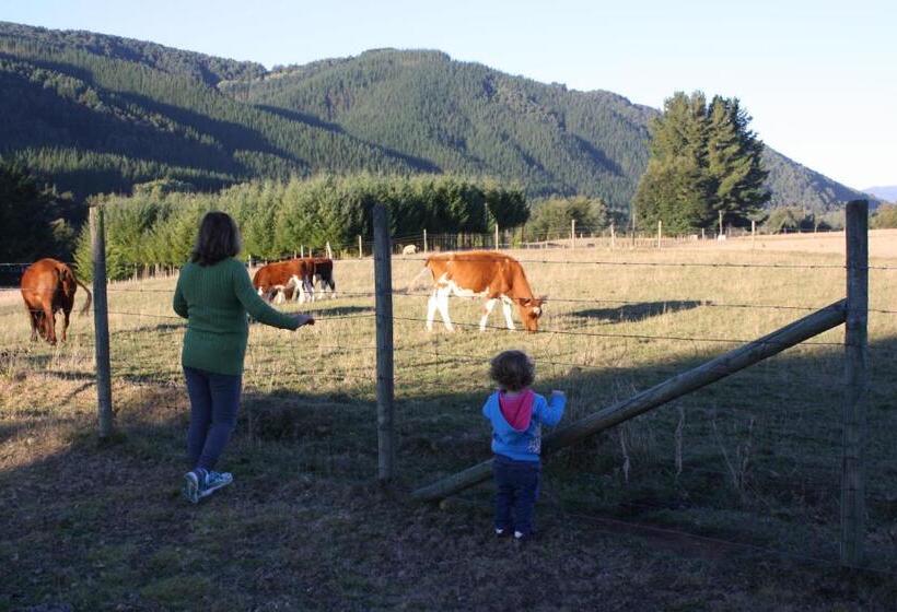 Cabaña Aroma De Campo