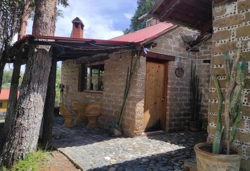 ホテル Cabañas Los Cactus