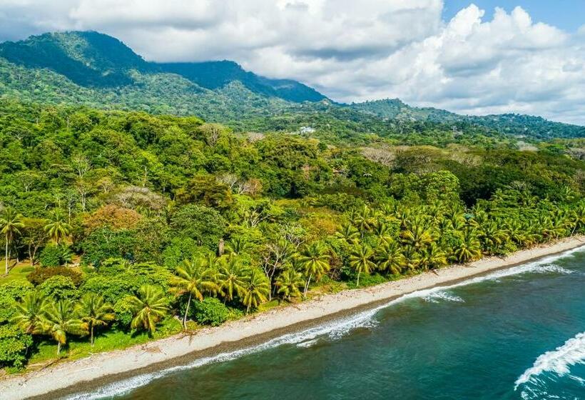 فندق Las Palmas Mini Casita 2