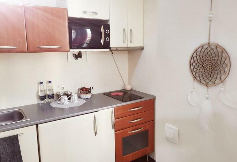 Nice & Economic Studio