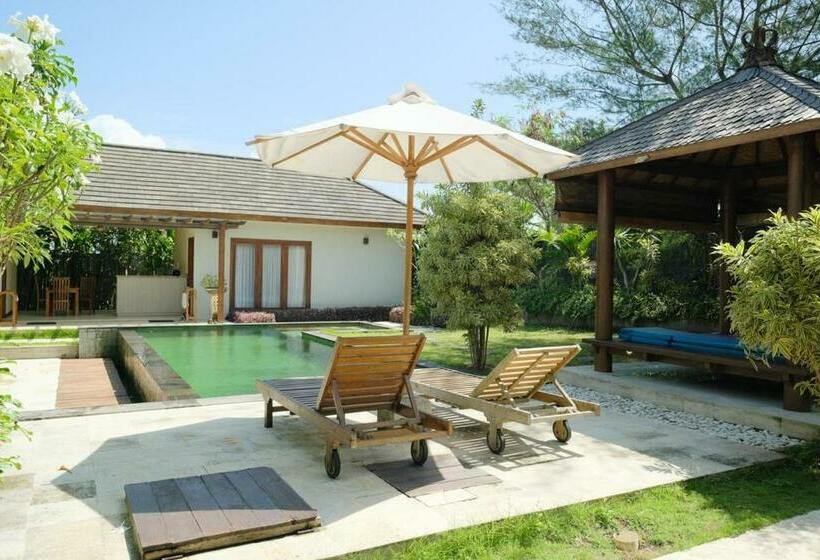 פנסיון Dinar Hills Ungasan