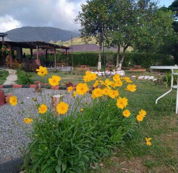 פנסיון Hostal Vista Boquete