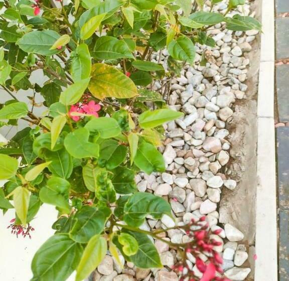 Пансион Mbuso Guest Lodge