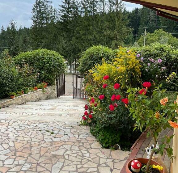 Pensiunea Elena Soveja