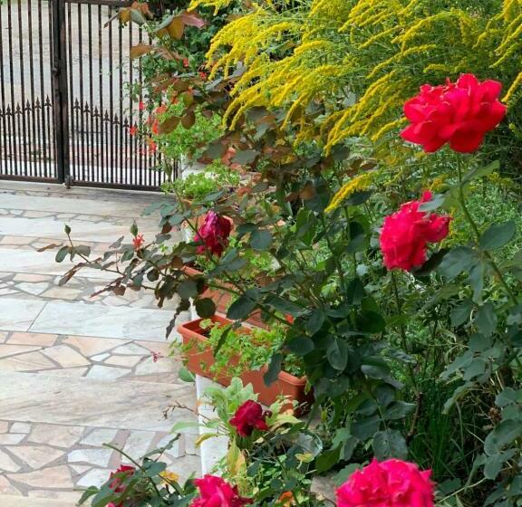 Pensiunea Elena Soveja