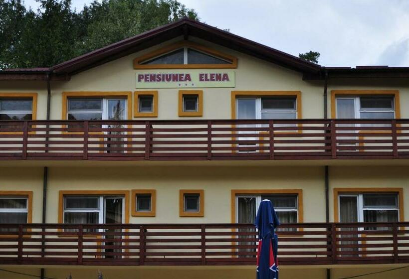 Pensiunea Elena Soveja