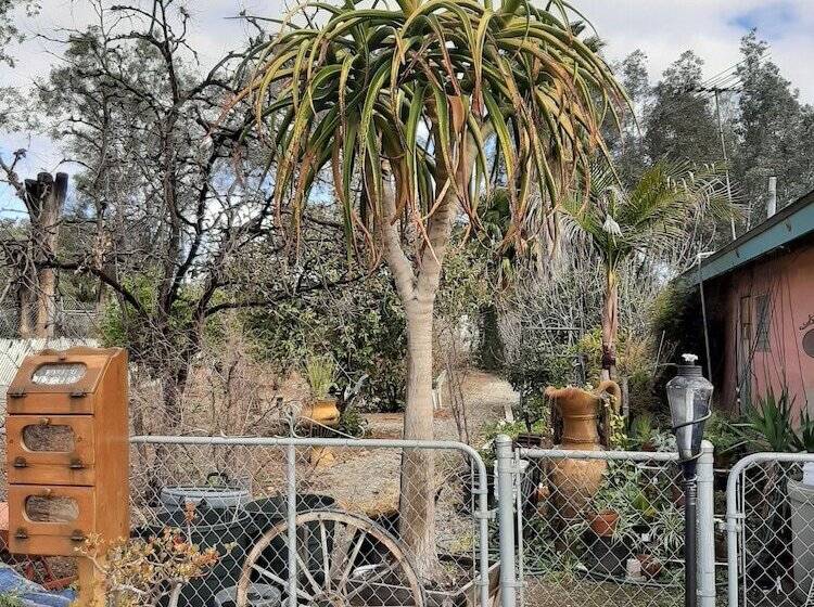 The New Star Motel   1950s Extended Stay Lodging And Retreat Center