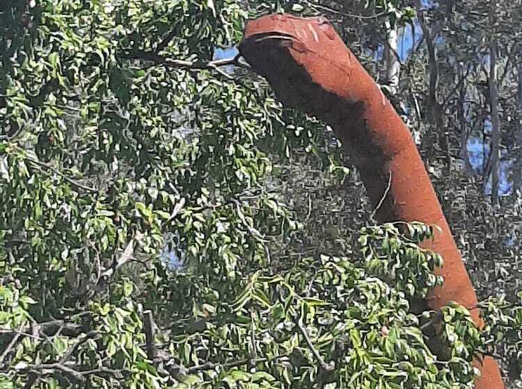 The New Star Motel   1950s Extended Stay Lodging And Retreat Center