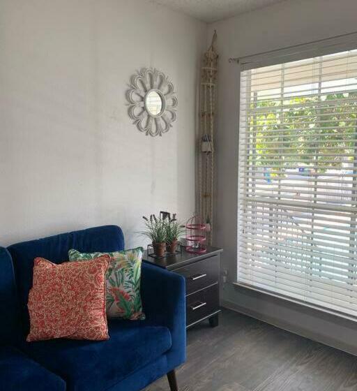 Austin   The Flamingo   Central Atx Vibes