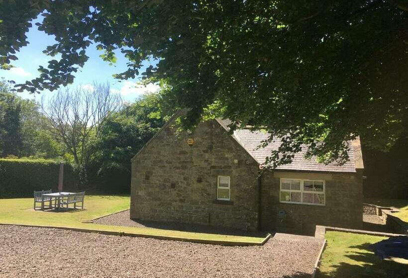 Chatton Park Lodge