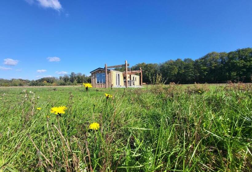 Hoeve Twente Oeverzwaluw