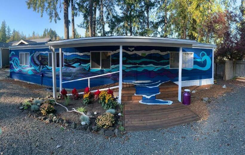 Hood Canal S Selkie S Cave