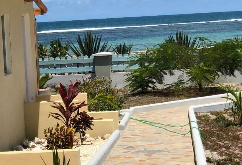 ホテル Punta Rucia Cristal Beach