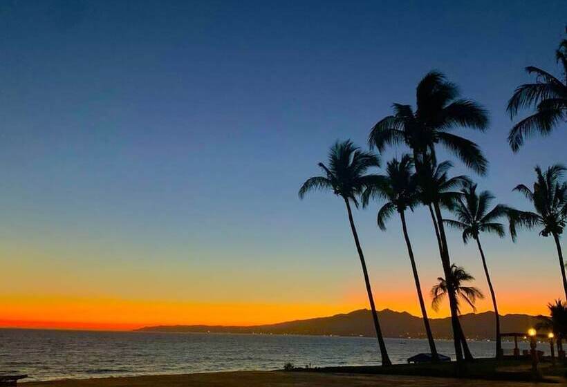 Ocean Front Condo With Pool Sleeps 6 Adults Quinta Del Mar 203