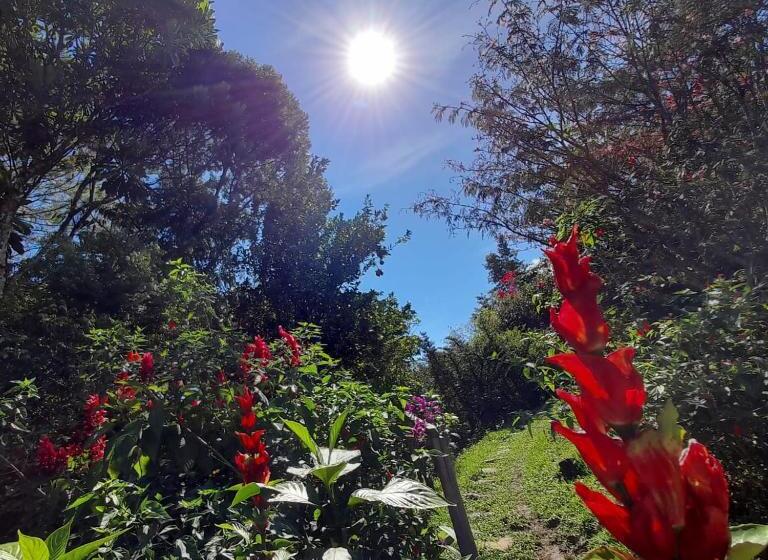 פנסיון La Posada De Las Aves