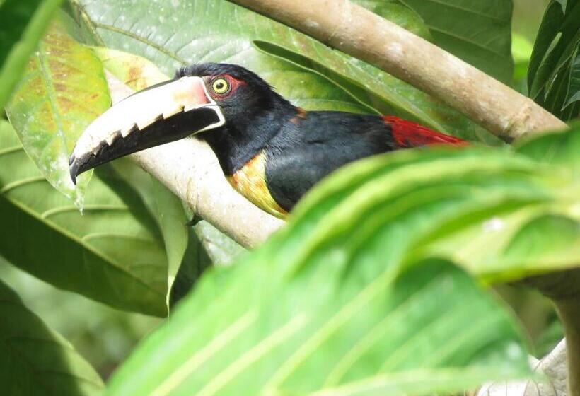 פנסיון La Posada De Las Aves