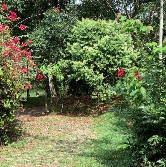 פנסיון La Posada De Las Aves