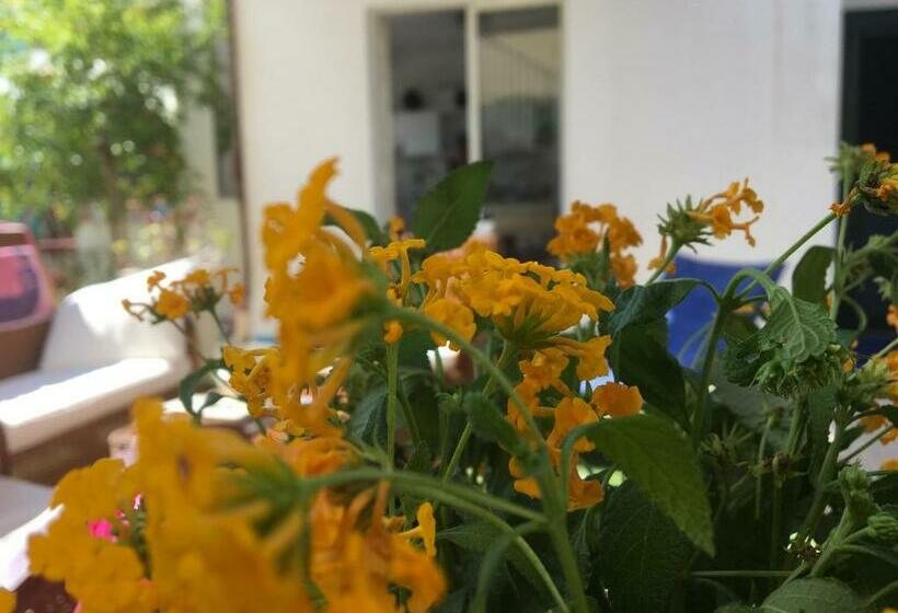 ペンション Lumiera 2