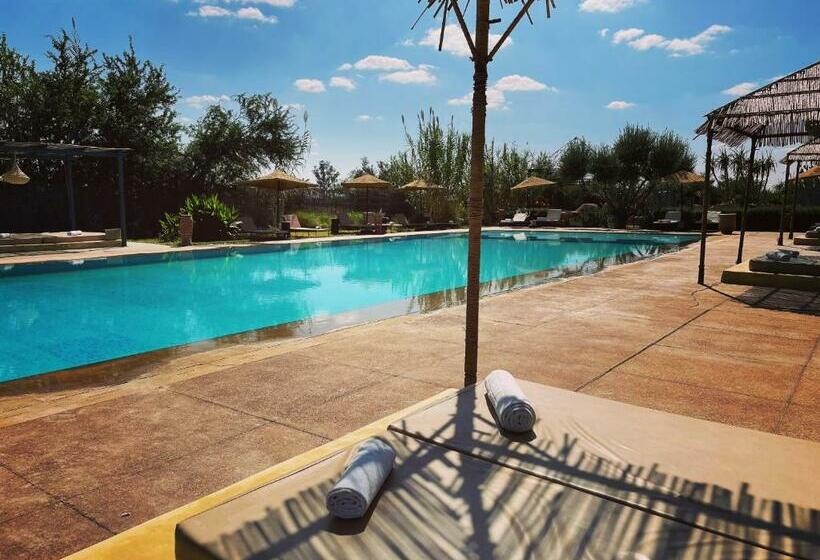 Villa Le Patio Blanc