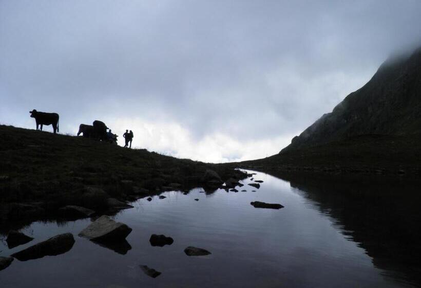 Aktiv & Spa Hotel Alpenrose