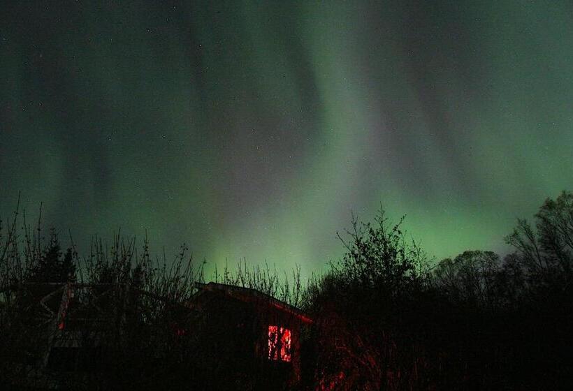 住宿加早餐  Alaska Halcyon Heights Inn