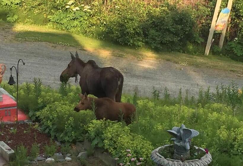 住宿加早餐  Alaska Halcyon Heights Inn