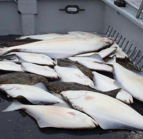 住宿加早餐  Alaska Halcyon Heights Inn