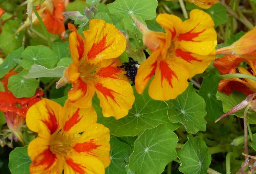 住宿加早餐  Alaska Halcyon Heights Inn