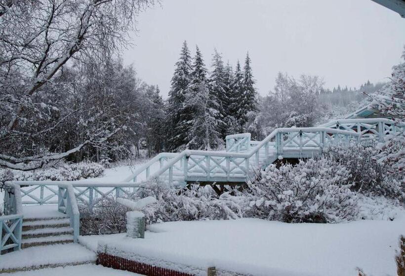 住宿加早餐  Alaska Halcyon Heights Inn