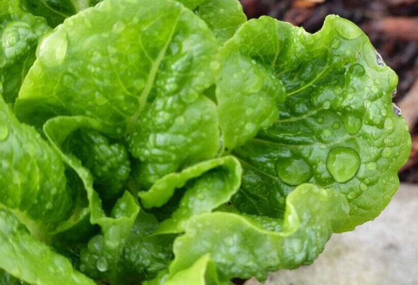 住宿加早餐  Alaska Halcyon Heights Inn