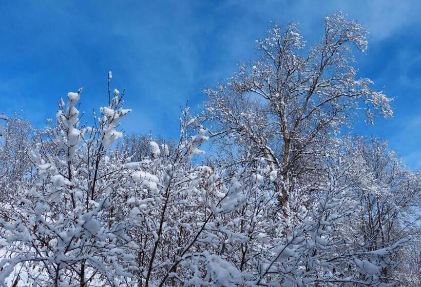 住宿加早餐  Alaska Halcyon Heights Inn