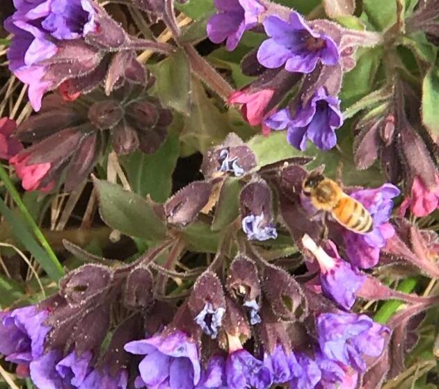 تختخواب و صبحانه Alaska Halcyon Heights Inn