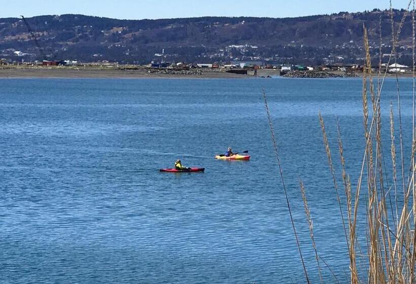 تختخواب و صبحانه Alaska Halcyon Heights Inn