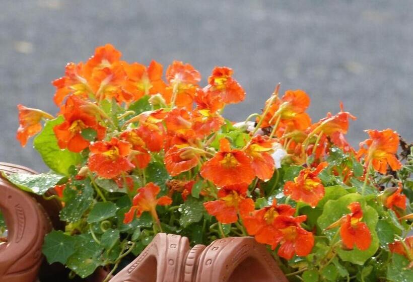 住宿加早餐  Alaska Halcyon Heights Inn