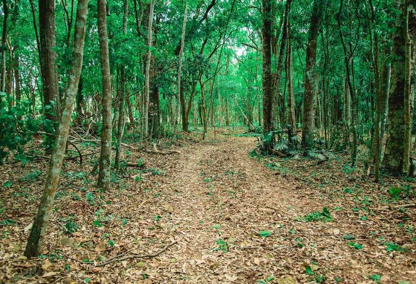 Отель Canzi Cataratas