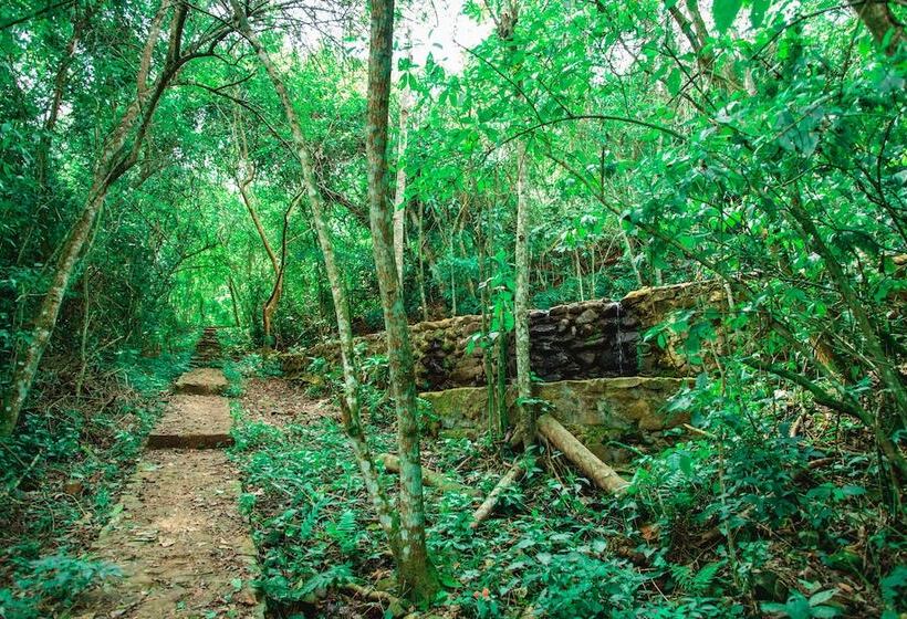 Отель Canzi Cataratas