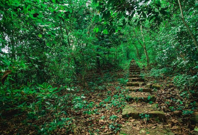 Отель Canzi Cataratas