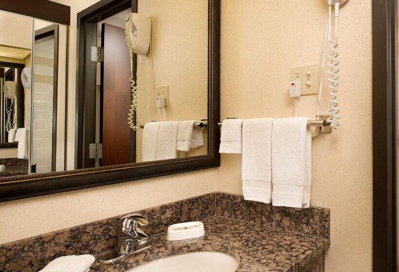 호텔 Drury Inn & Suites Springfield