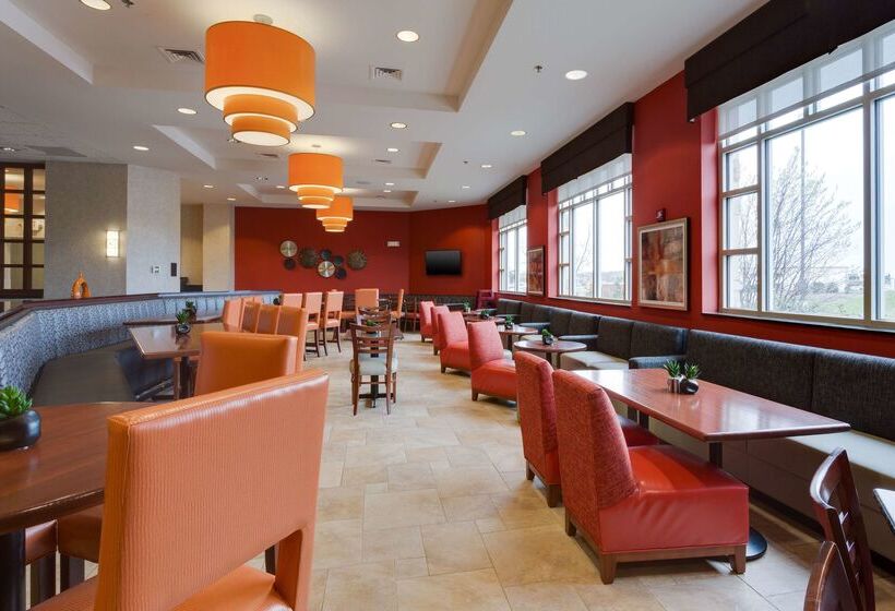 فندق Drury Inn & Suites St. Louis/o Fallon, Il